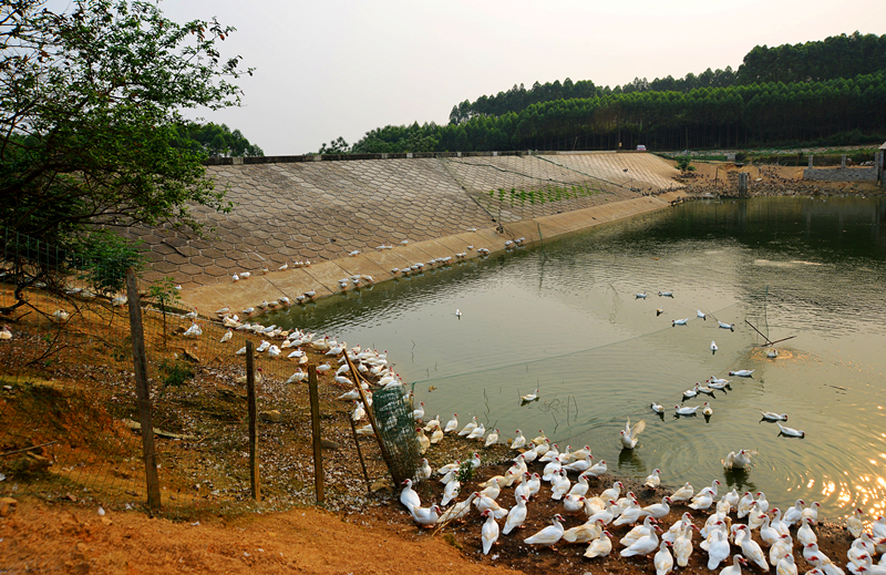 ������(�й���)���޹�˾����