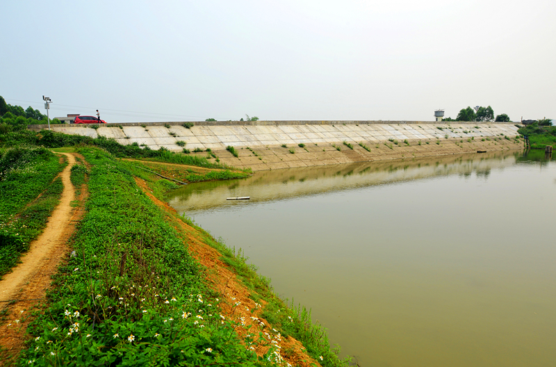 ������(�й���)���޹�˾����