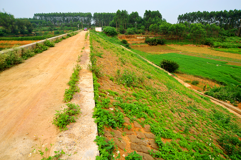 ������(�й���)���޹�˾����