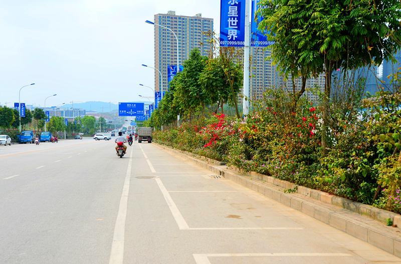 ������(�й���)���޹�˾����