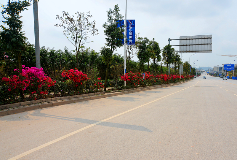 ������(�й���)���޹�˾����