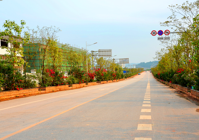 ������(�й���)���޹�˾����