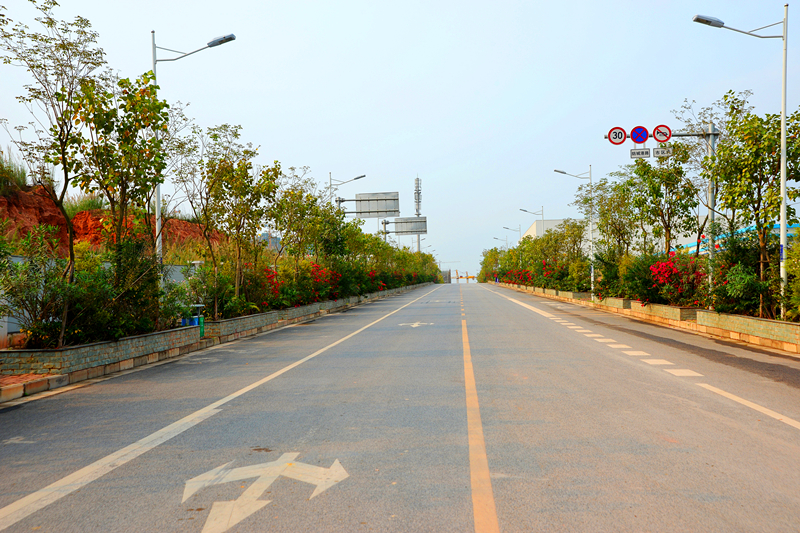 ������(�й���)���޹�˾����