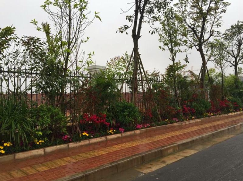 ������(�й���)���޹�˾����