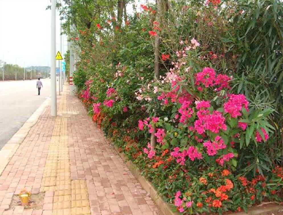 ������(�й���)���޹�˾����