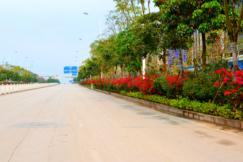 ������(�й���)���޹�˾����