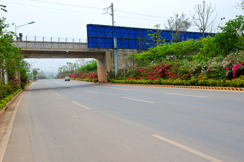 ������(�й���)���޹�˾����