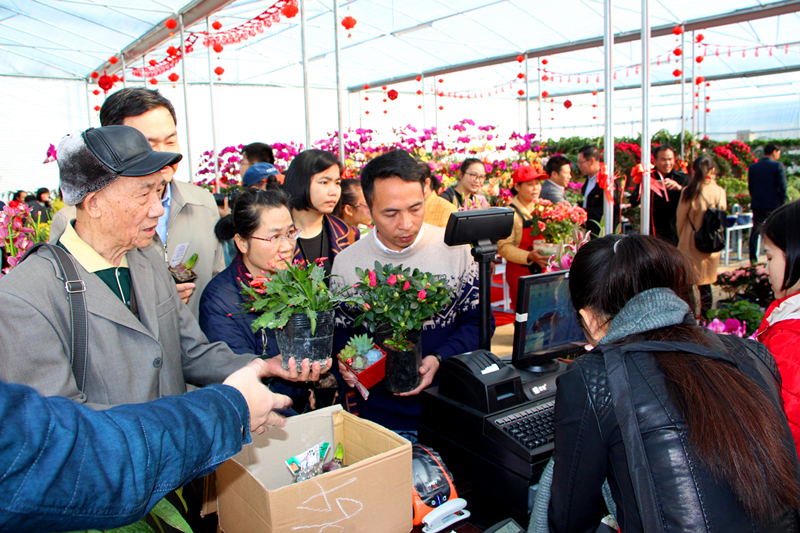 ������(�й���)���޹�˾����