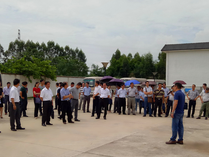 ������(�й���)���޹�˾����