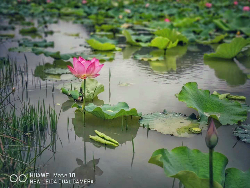 ������(�й���)���޹�˾����