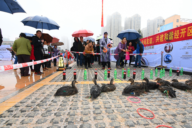 ������(�й���)���޹�˾����