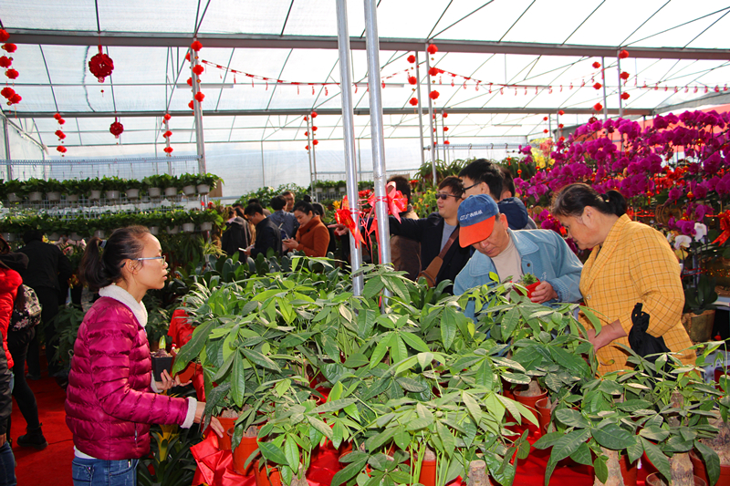 ������(�й���)���޹�˾����