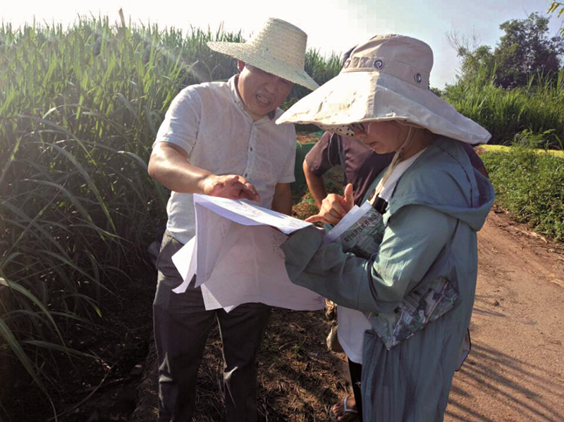 ������(�й���)���޹�˾����