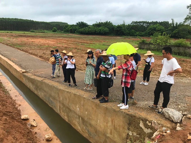 ������(�й���)���޹�˾����