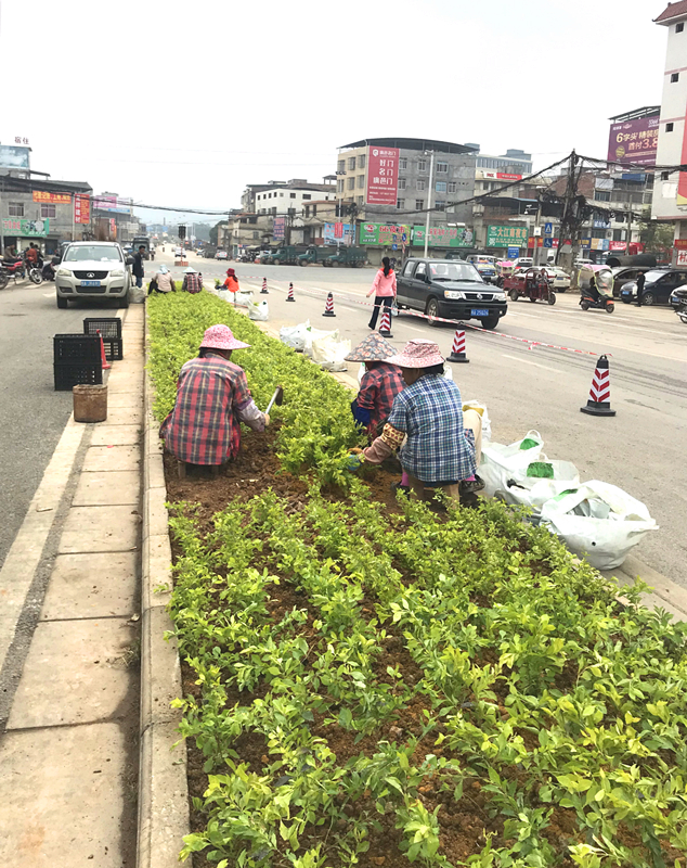 ������(�й���)���޹�˾����