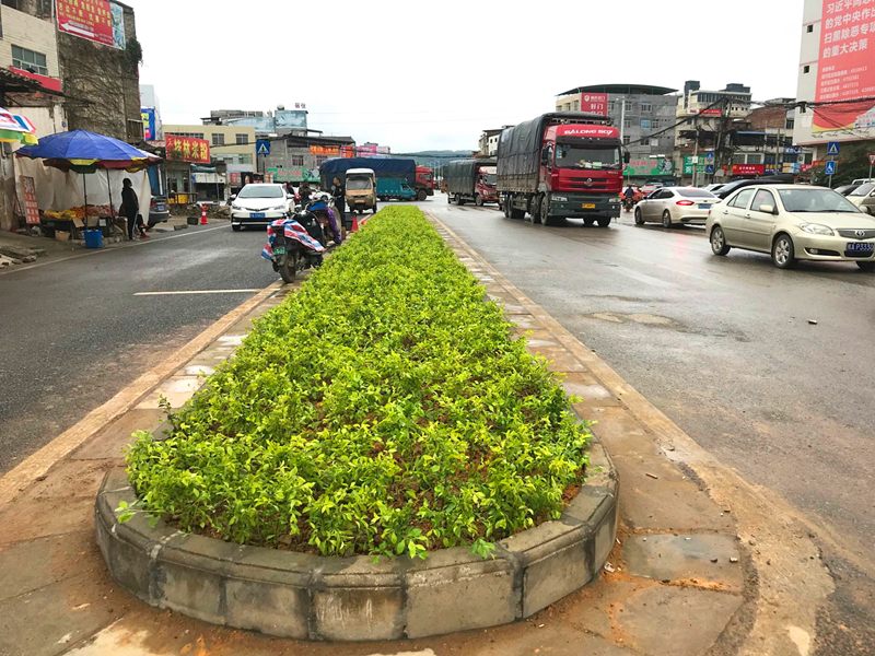 ������(�й���)���޹�˾����