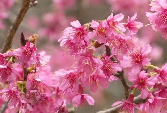 ������(�й���)���޹�˾����