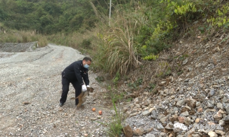 ������(�й���)���޹�˾����