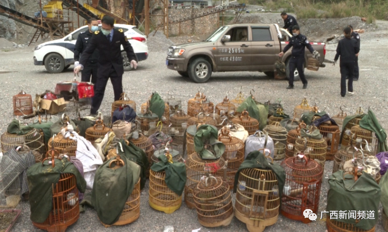 ������(�й���)���޹�˾����