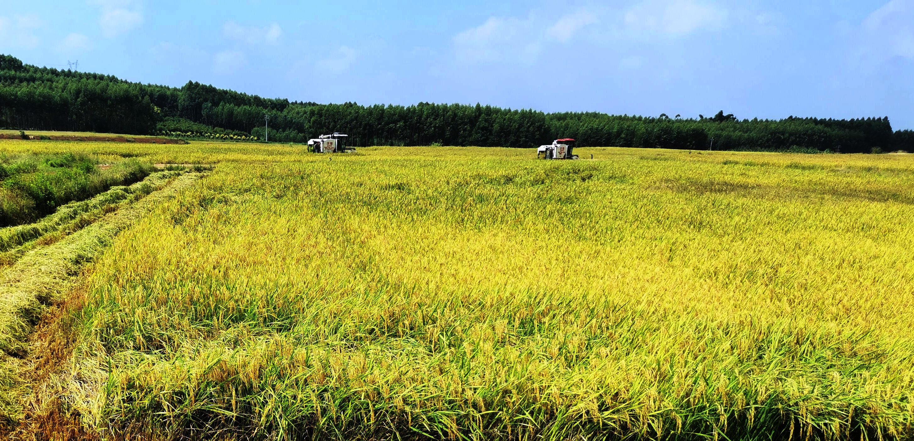 ������(�й���)���޹�˾����